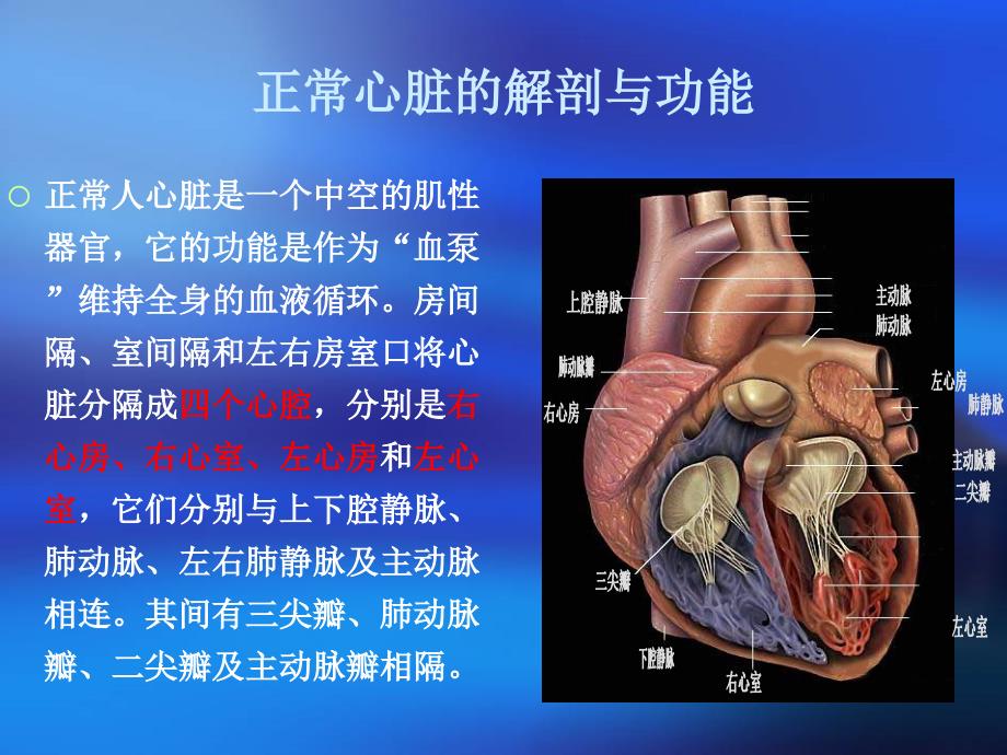 TOF的护理课件.ppt_第4页