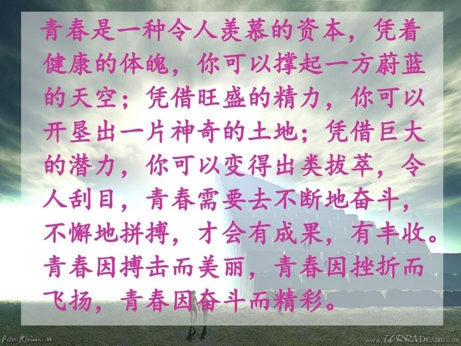 奋斗的青春最美丽课件.ppt_第5页