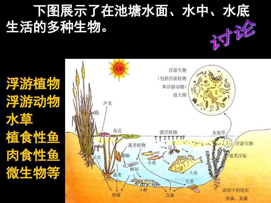 群落的结构H课件_第2页