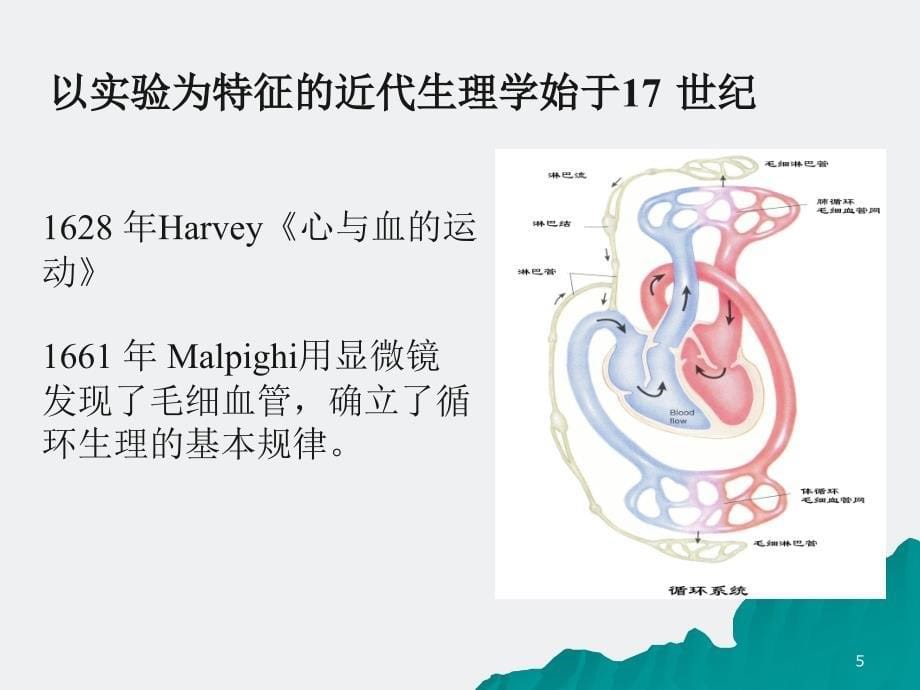 生理学：绪论_第5页