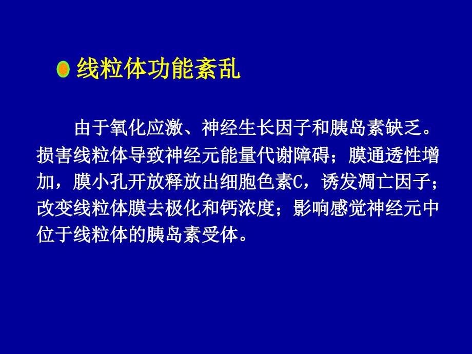 糖尿病神经病(蒋雨平)080112()_第5页