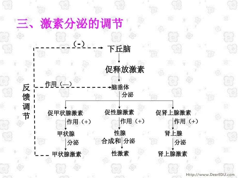 《体液调节人教》PPT课件.ppt_第5页