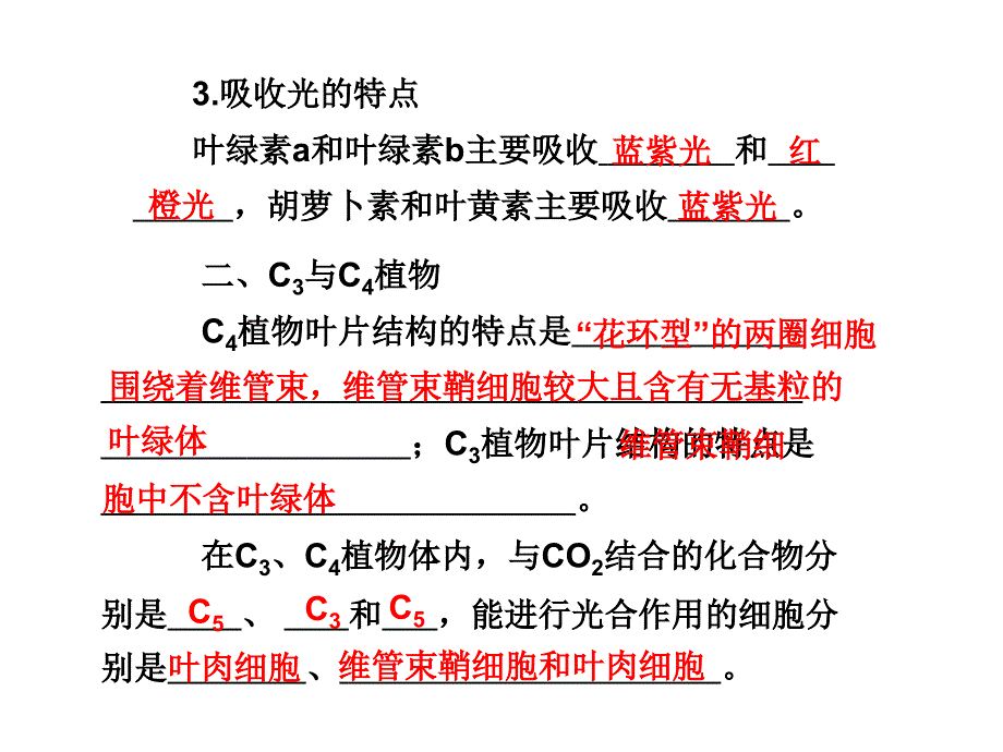 光合作用和细胞呼吸_第2页