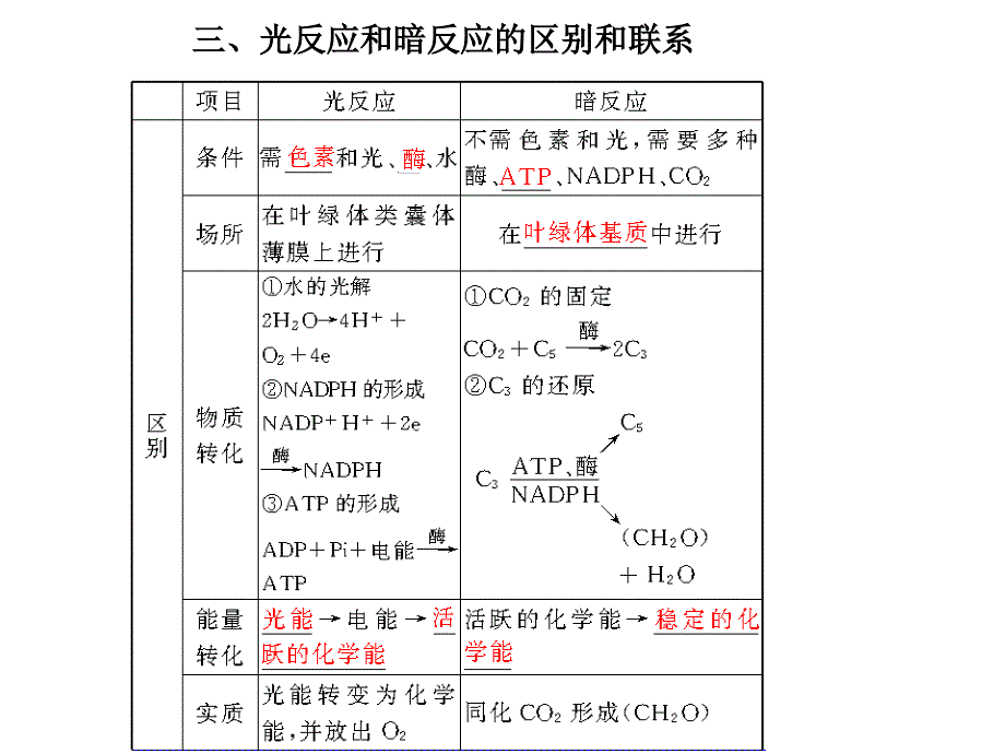 光合作用和细胞呼吸_第3页