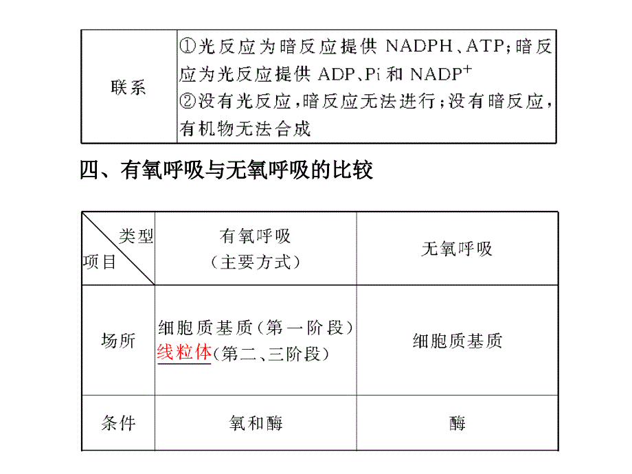 光合作用和细胞呼吸_第4页