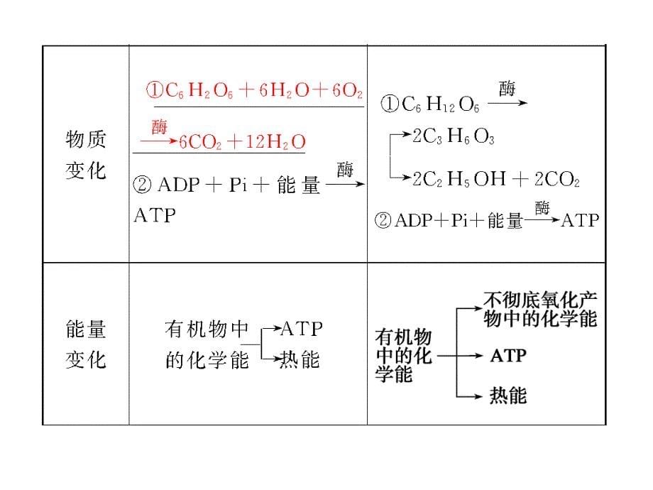 光合作用和细胞呼吸_第5页