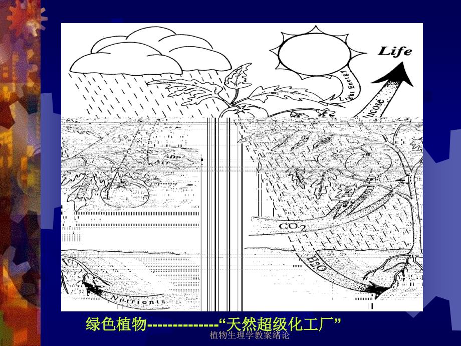 植物生理学教案绪论课件_第3页