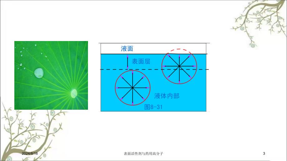 表面活性剂与药用高分子课件_第3页