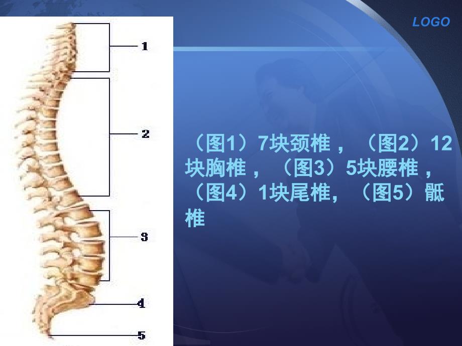 胸腰椎骨折内固定术的护理配合_第4页