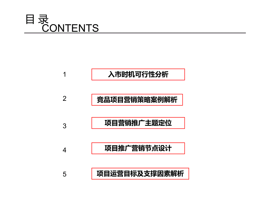 石家庄某房地产项目营销计划提纲_第2页