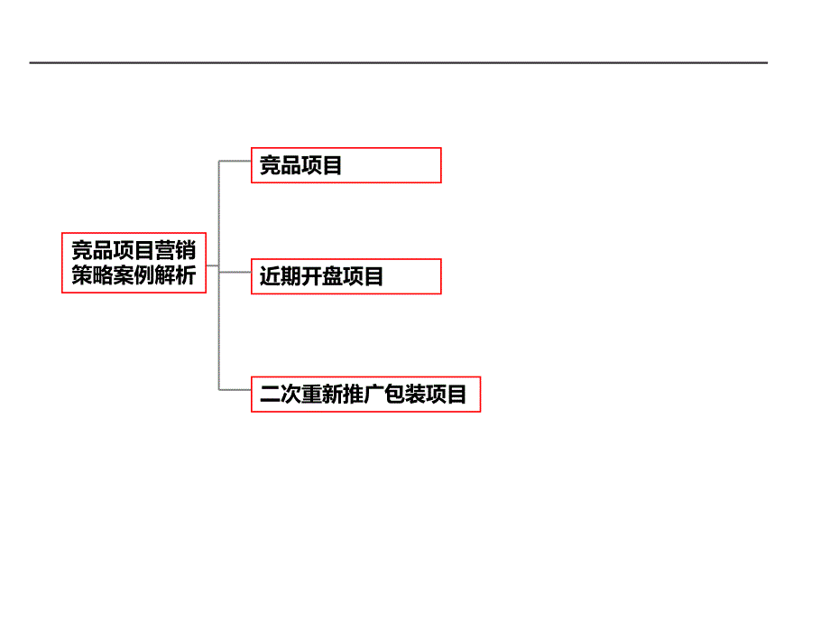 石家庄某房地产项目营销计划提纲_第4页