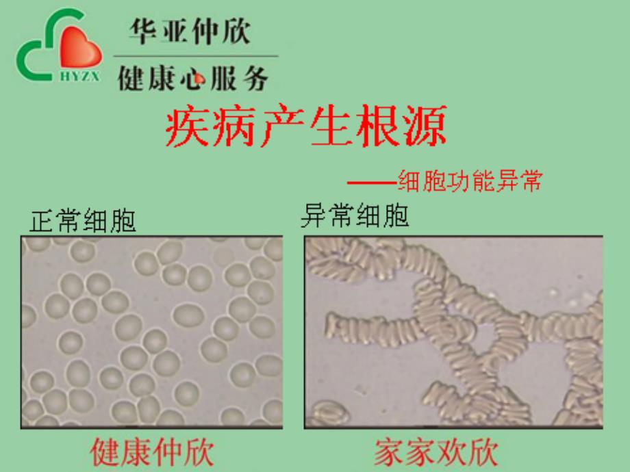 细胞健康与人体健_第4页