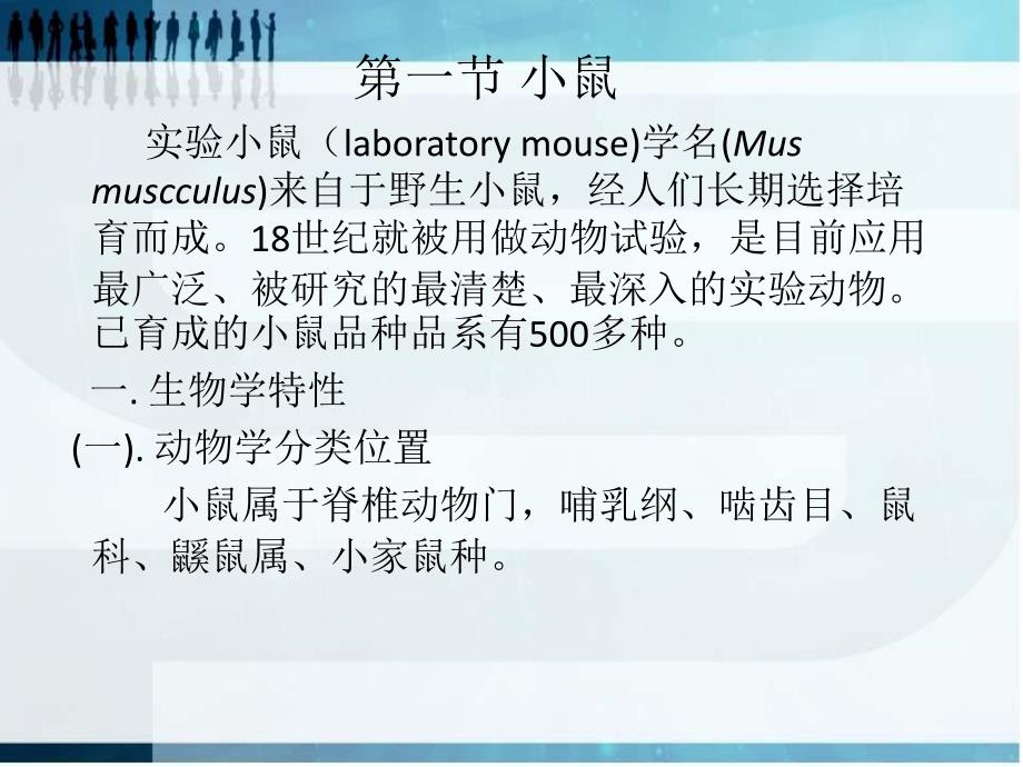 常用实验动物应用抗体_第4页