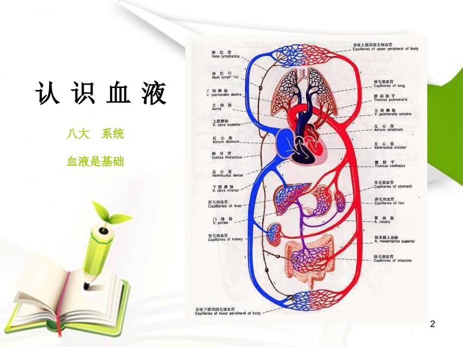 老年血液病ppt课件_第2页