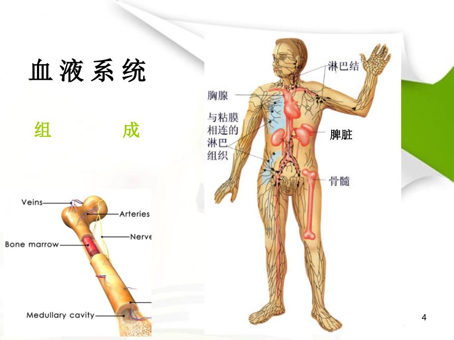 老年血液病ppt课件_第4页