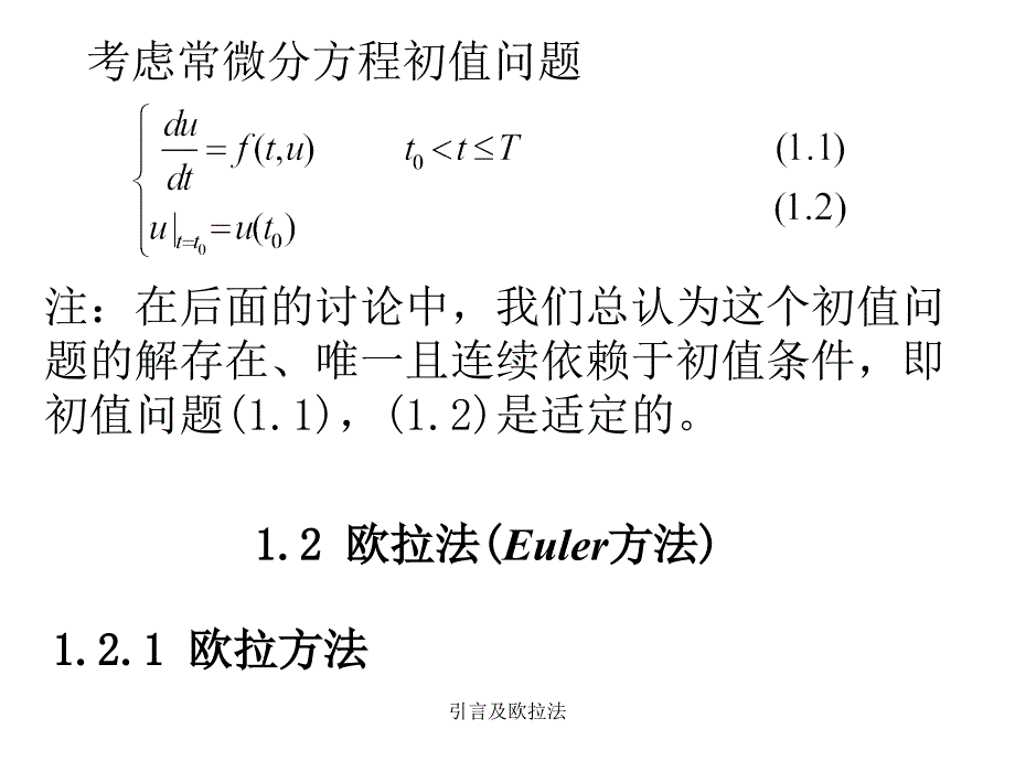 引言及欧拉法课件_第3页