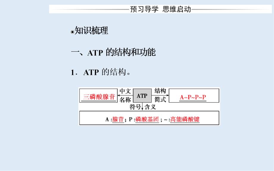 生物必修1人教版课件：第5章第2节细胞的能量“通货”——ATP_第3页