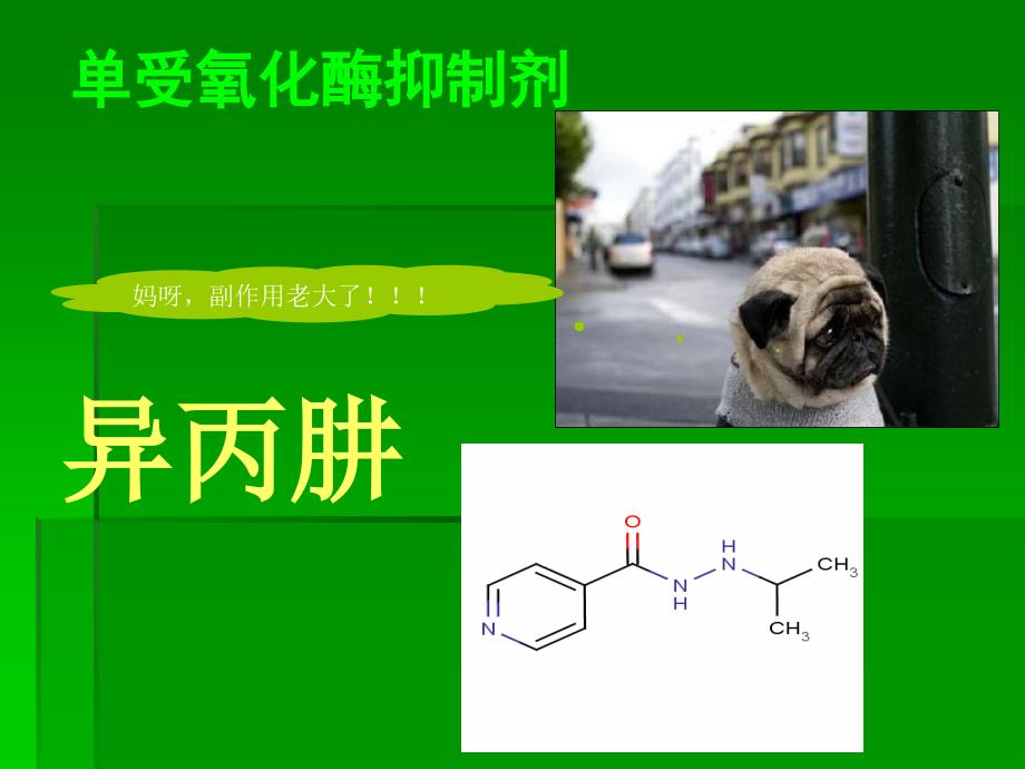 抗抑郁药的新药研发_第4页