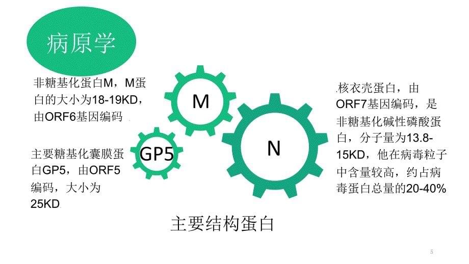 猪繁殖与呼吸综合征.ppt_第5页