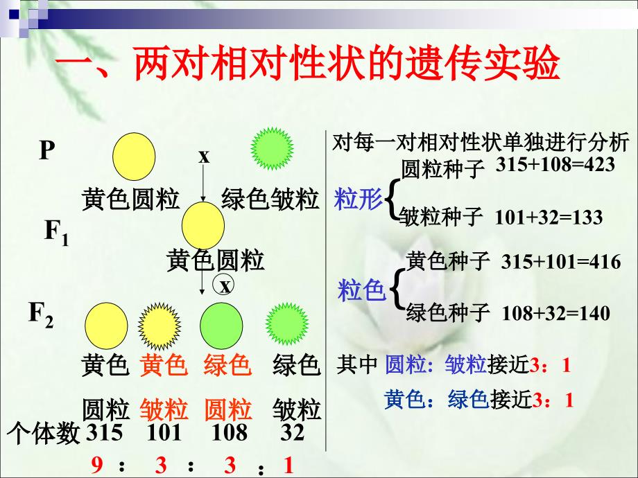 孟德尔的豌豆杂交实验(二）_第3页