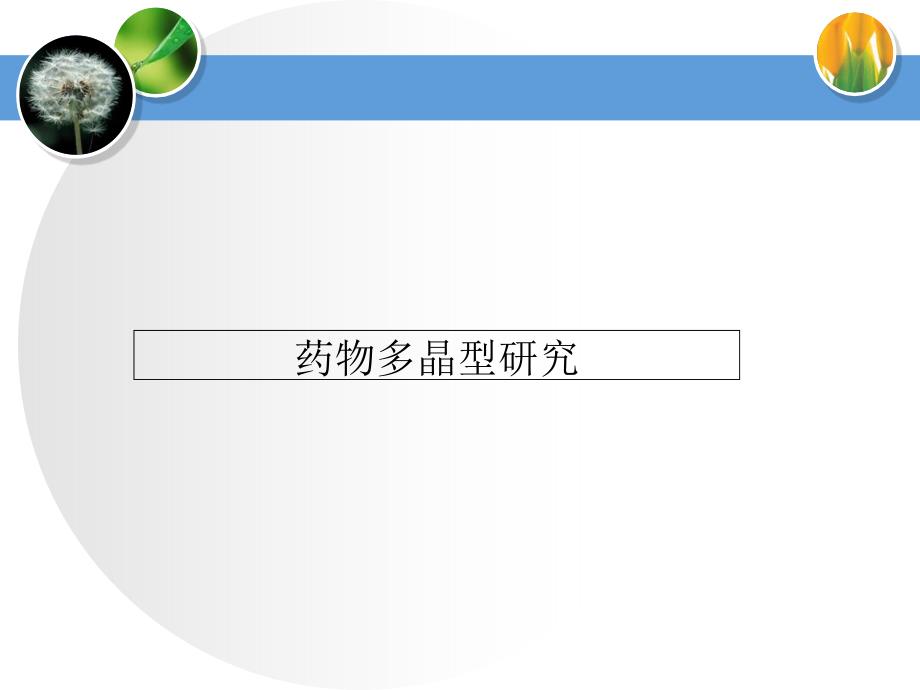 《医药多晶型培训》PPT课件.ppt_第1页
