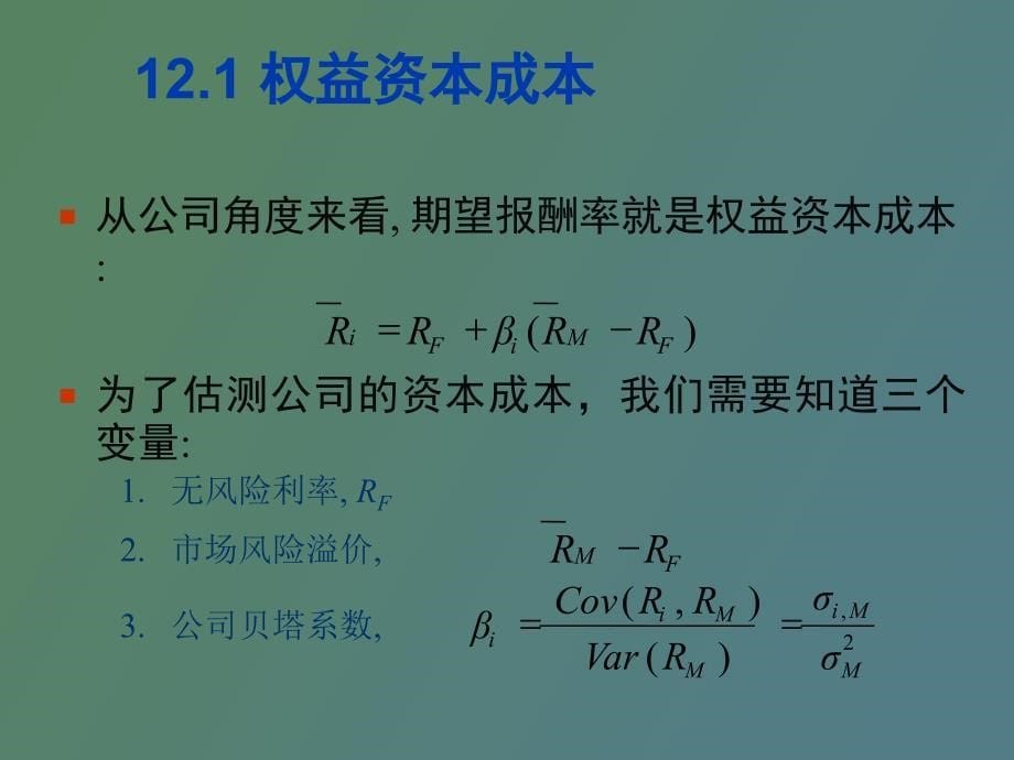 风险资本成本与资本预算_第5页