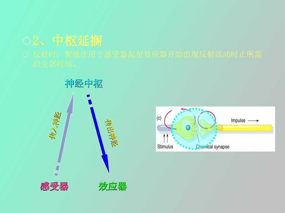 《犬的行为原理》第三章末_第4页