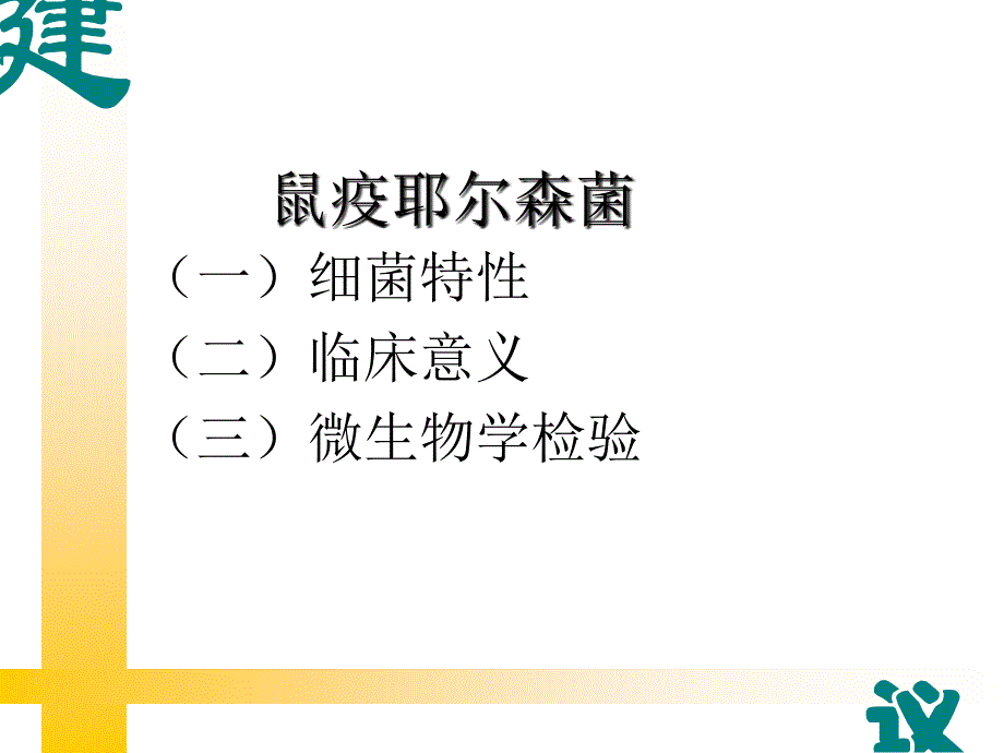 肠杆菌科细菌3文档资料_第3页