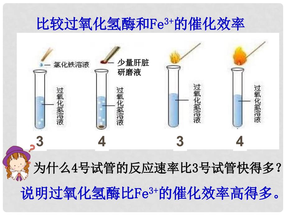 河北省南宫市高中生物 第五章 细胞的能量供应和利用 5.1 降低化学反应活化能的酶（第2课时）课件 新人教版必修1_第3页