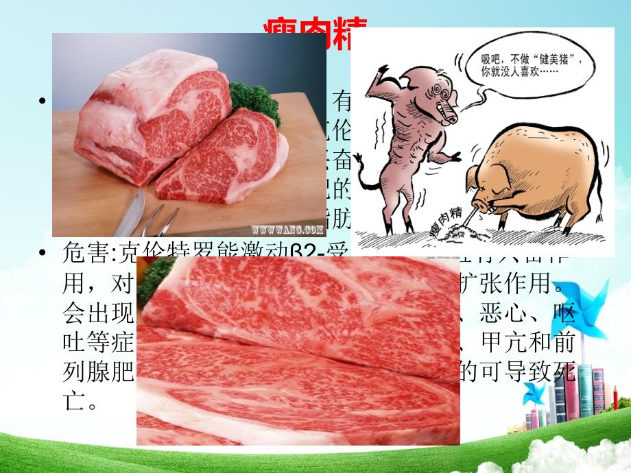 有机化学与食品安全_第3页