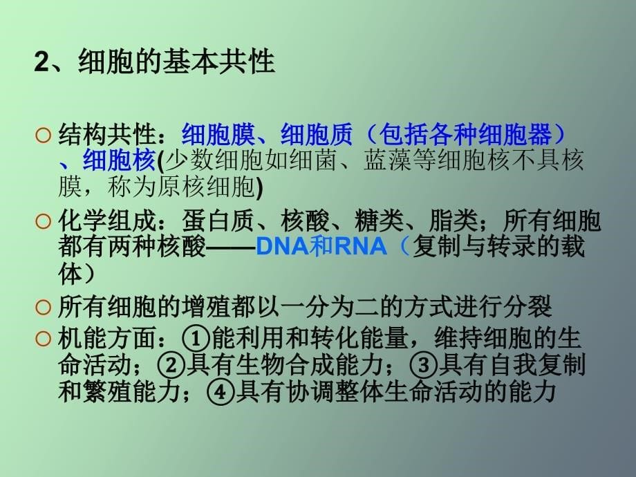 动物生物学动物细胞、组织、器官和系统_第5页