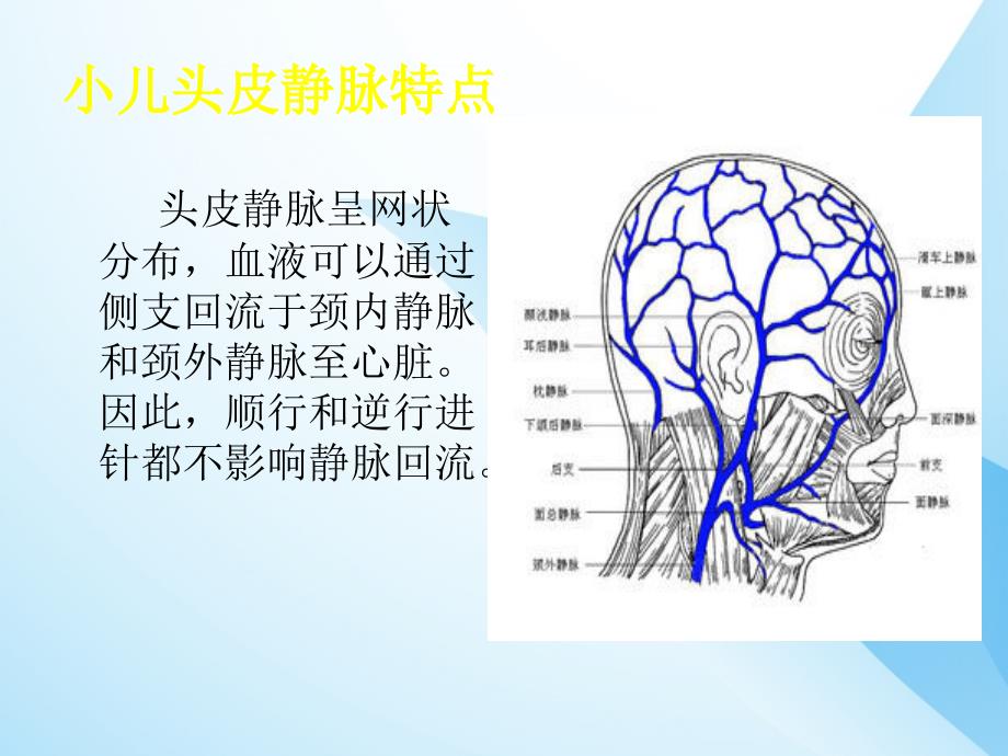 小儿头皮静脉穿刺技巧及特点_第3页