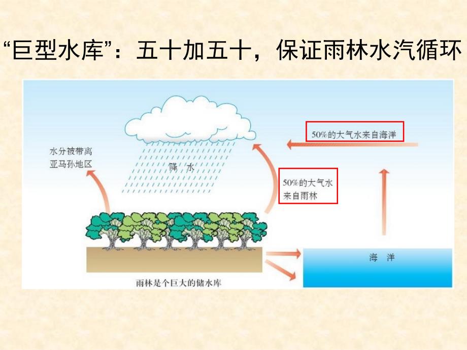 【地理】2.2森林的开发和保护——以亚马孙热带雨林为例课件1人教版必修3_第4页