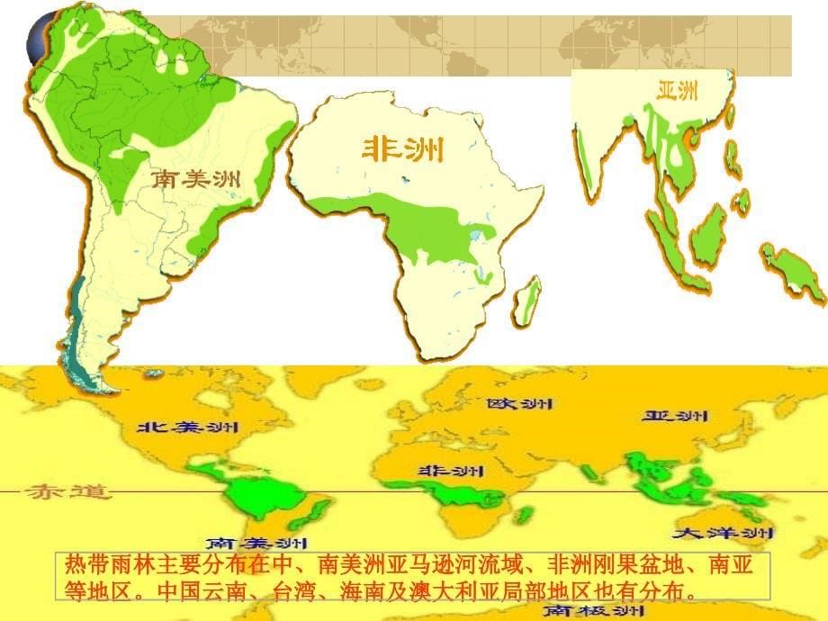 18《雨林的毁灭——世界性灾难》上课版_第5页