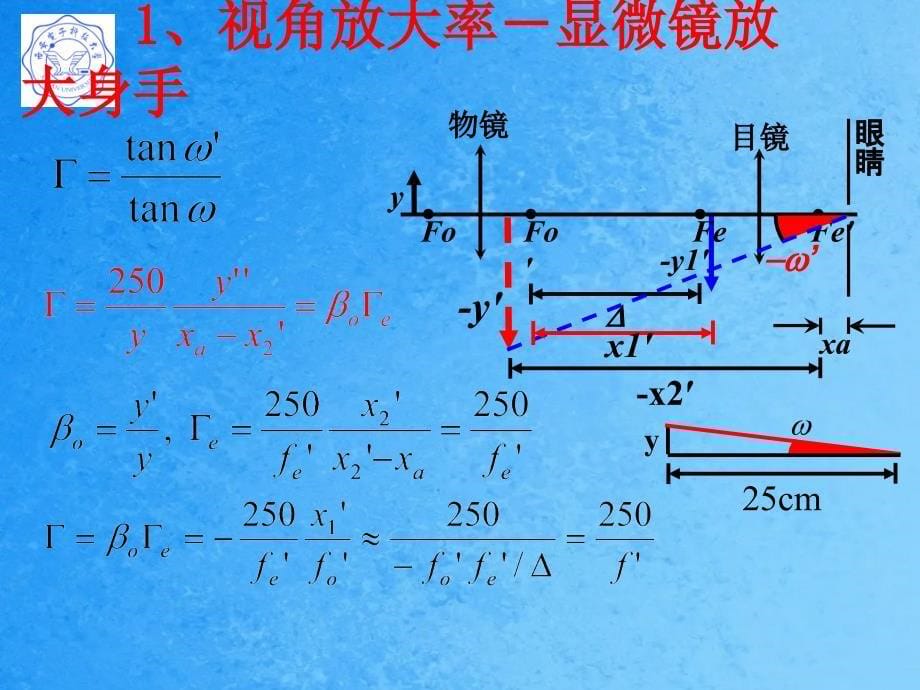 显微镜结构及其原理ppt课件_第5页