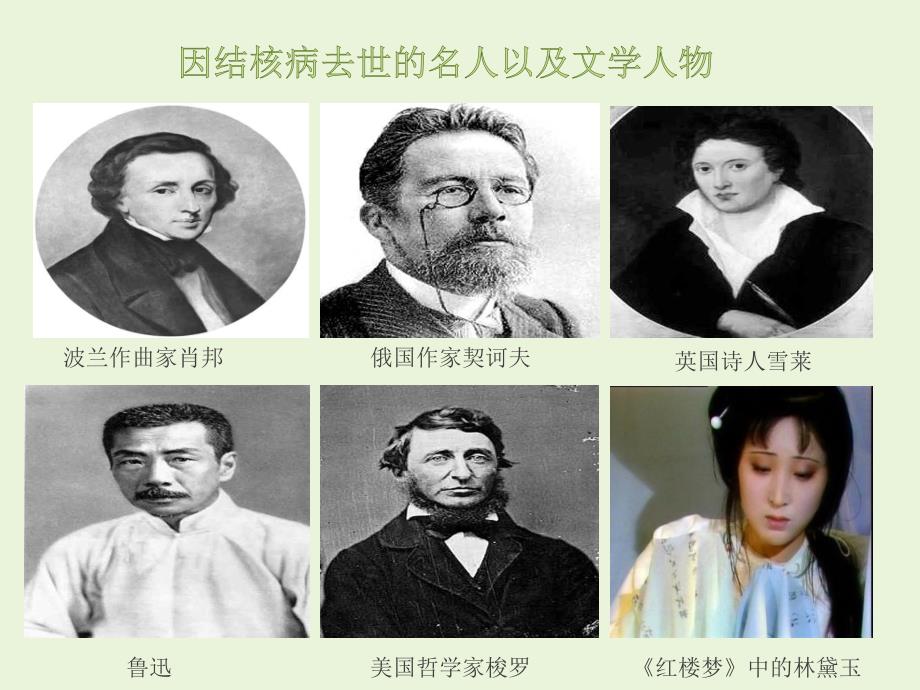 结核病预防主题班会课件.ppt_第4页