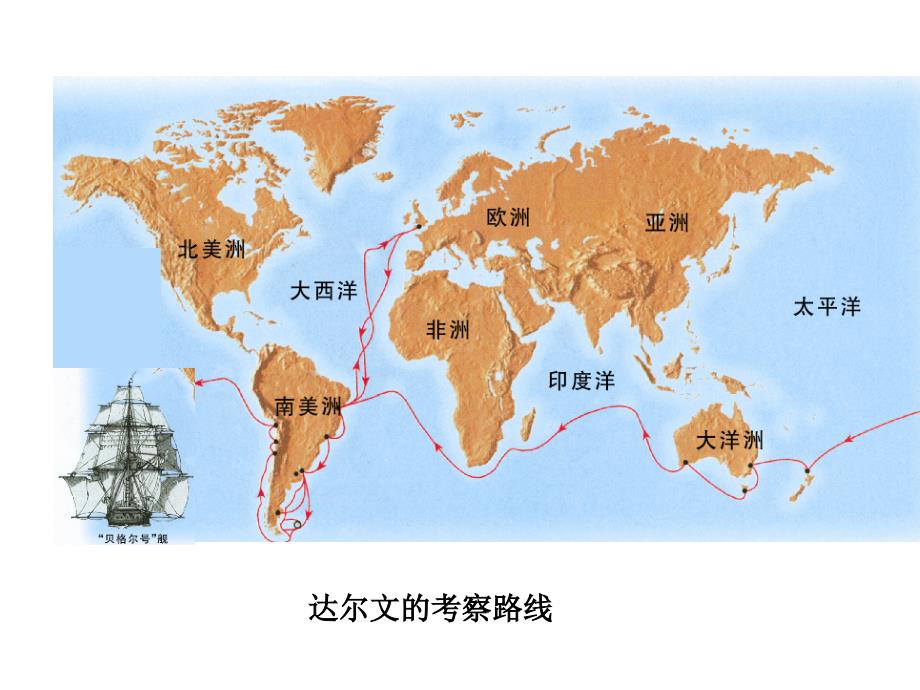 苏教版生物八上16.3生物进化的学说课件3_第3页