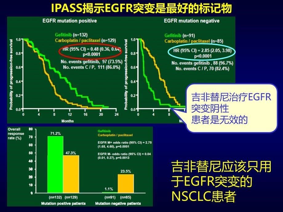 EGFR基因突变状态指导下的NSCLC治疗_第5页