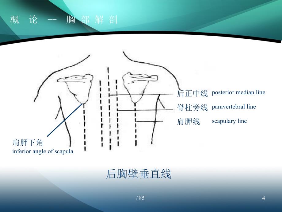 胸部外伤PPT课件_第4页