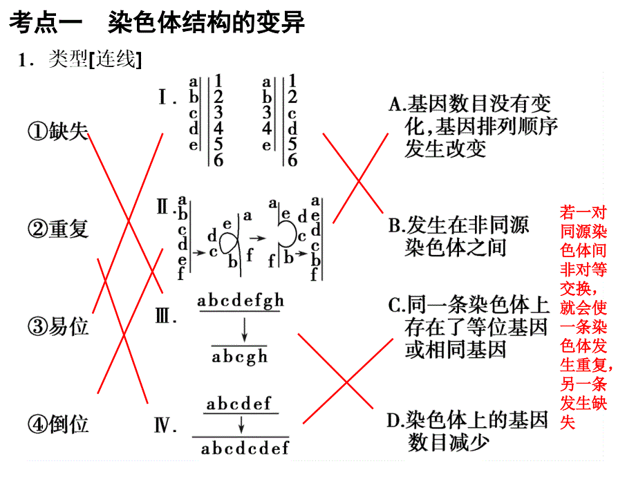 染色体变异_第2页