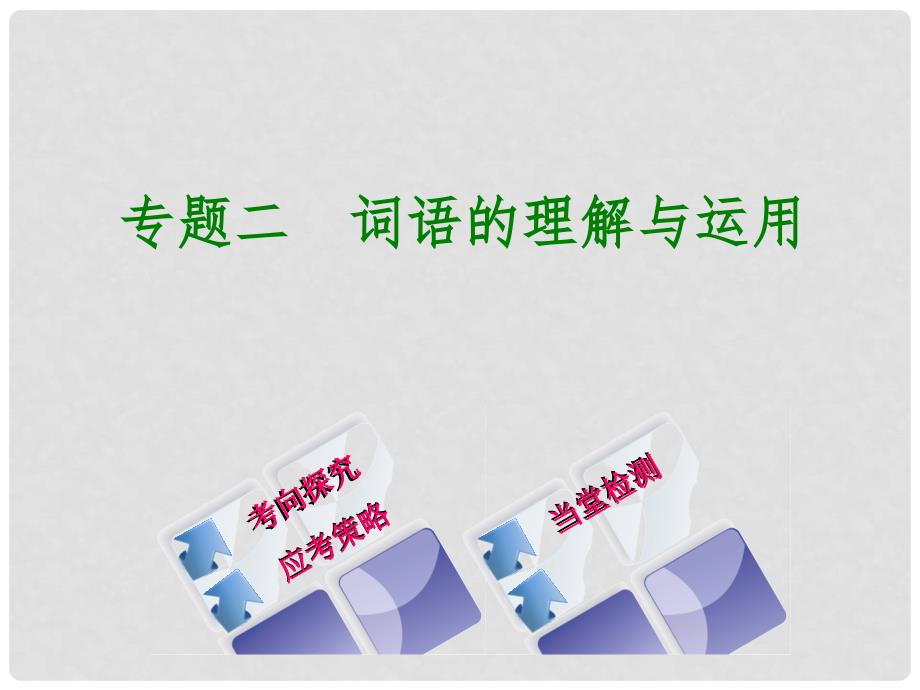 中考语文 第1部分 积累与运用 专题二 词语的理解与运用课件_第1页