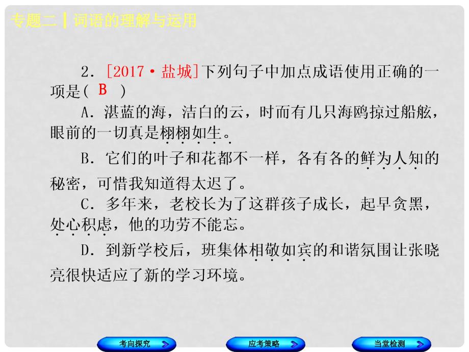 中考语文 第1部分 积累与运用 专题二 词语的理解与运用课件_第4页