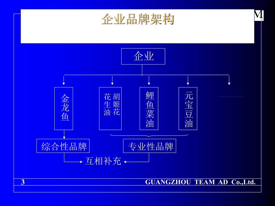 天进胡姬花花生油品牌战略规划_第3页