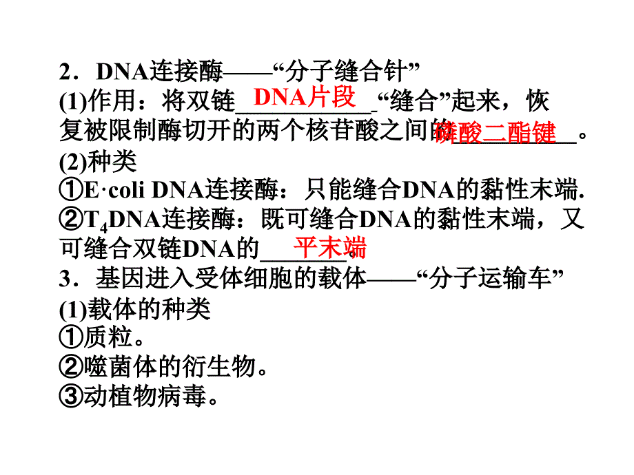 基因工程的基本操作程序_第4页