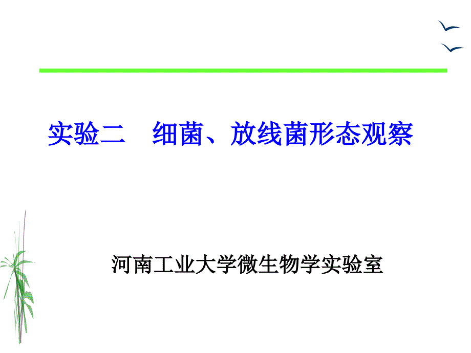 实验二细菌、放线菌的形态观察_第1页