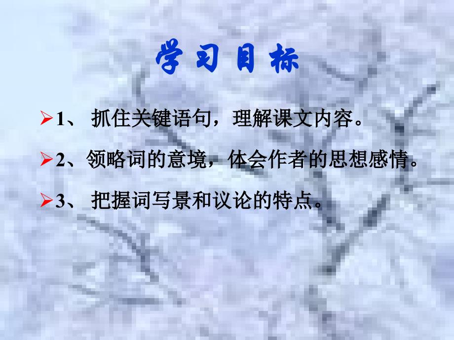 沁园春雪（定稿）_第4页