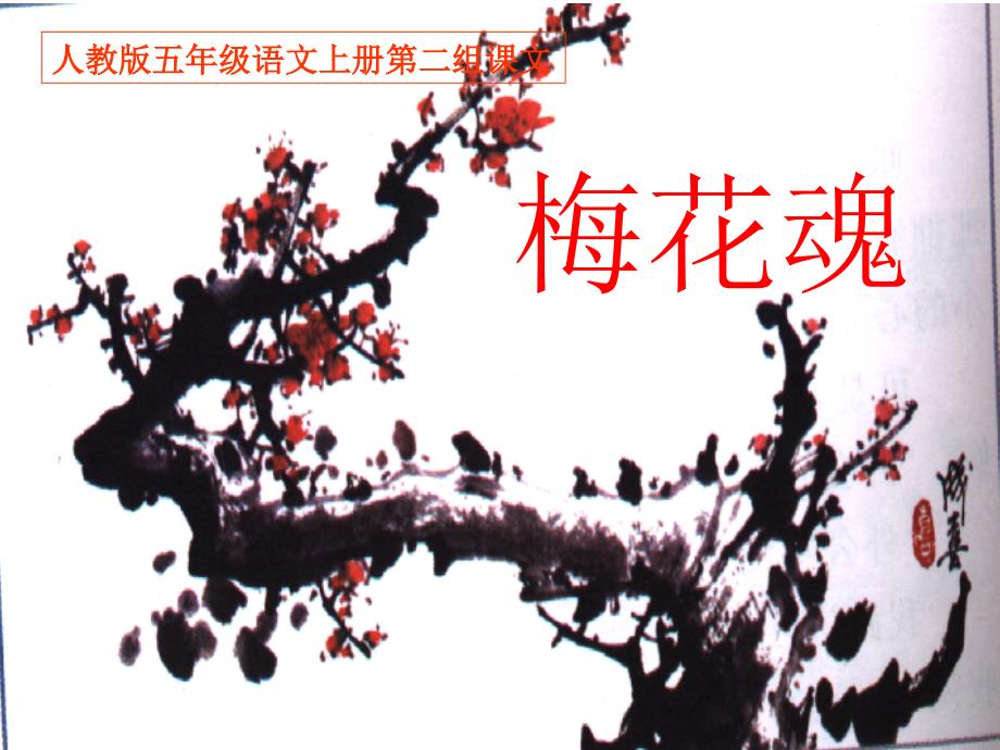 梅花魂 (7)_第1页