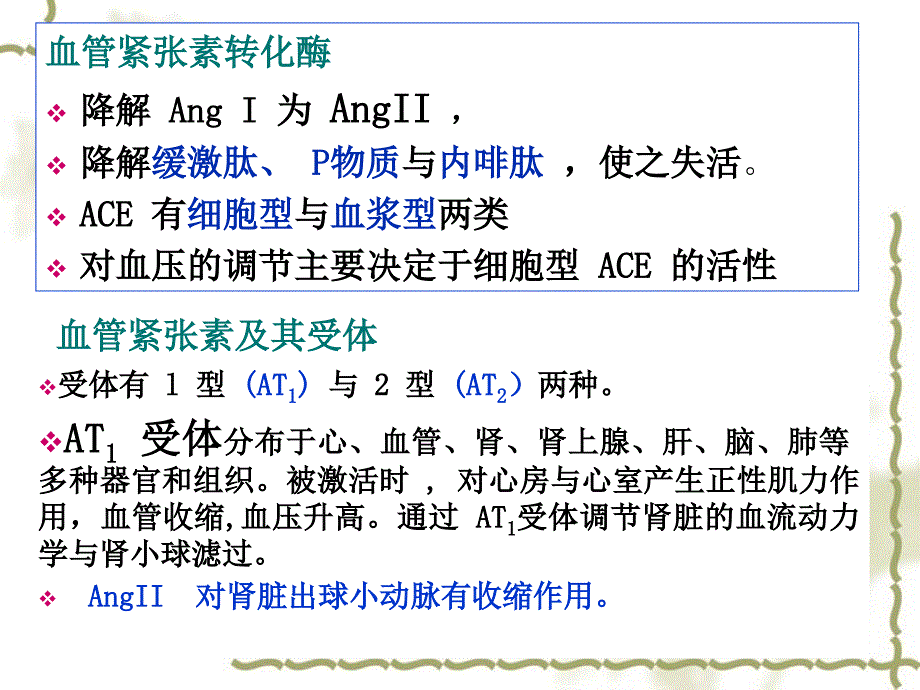 药理学课件：第二十三章肾素－血管紧张素系统药理(huguoxin2012)_第3页