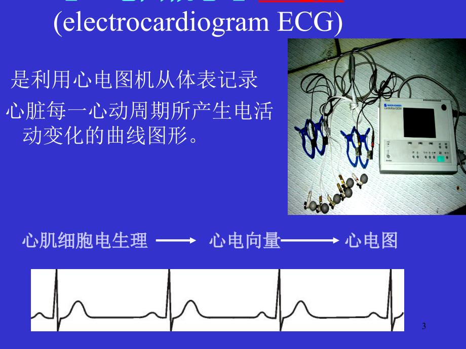 （优质课件）心电图基础知识系列讲座_第3页