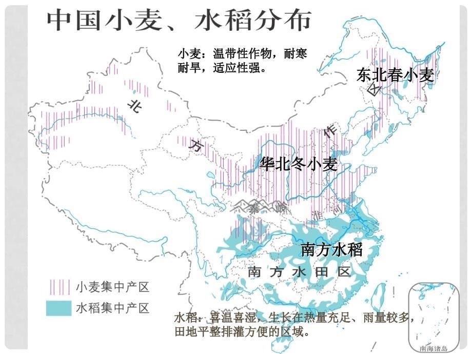 《农业区位因素与地域类型》课件（3）_第5页